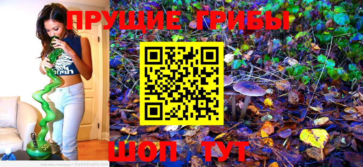 Галлюциногенные грибы прущие грибы  Вход с VPN  Галлюциногенные грибы Magic Shrooms  Камышлов 